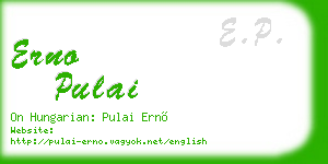 erno pulai business card