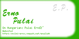 erno pulai business card